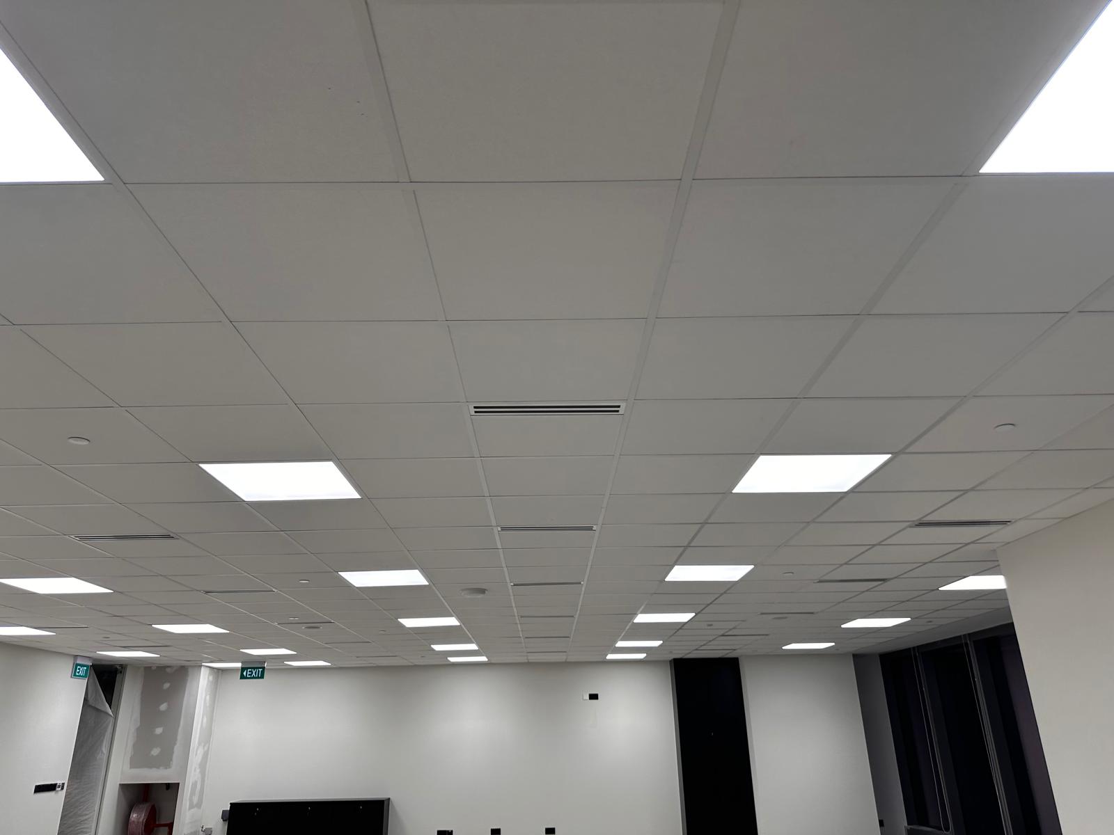 Ceiling work 5